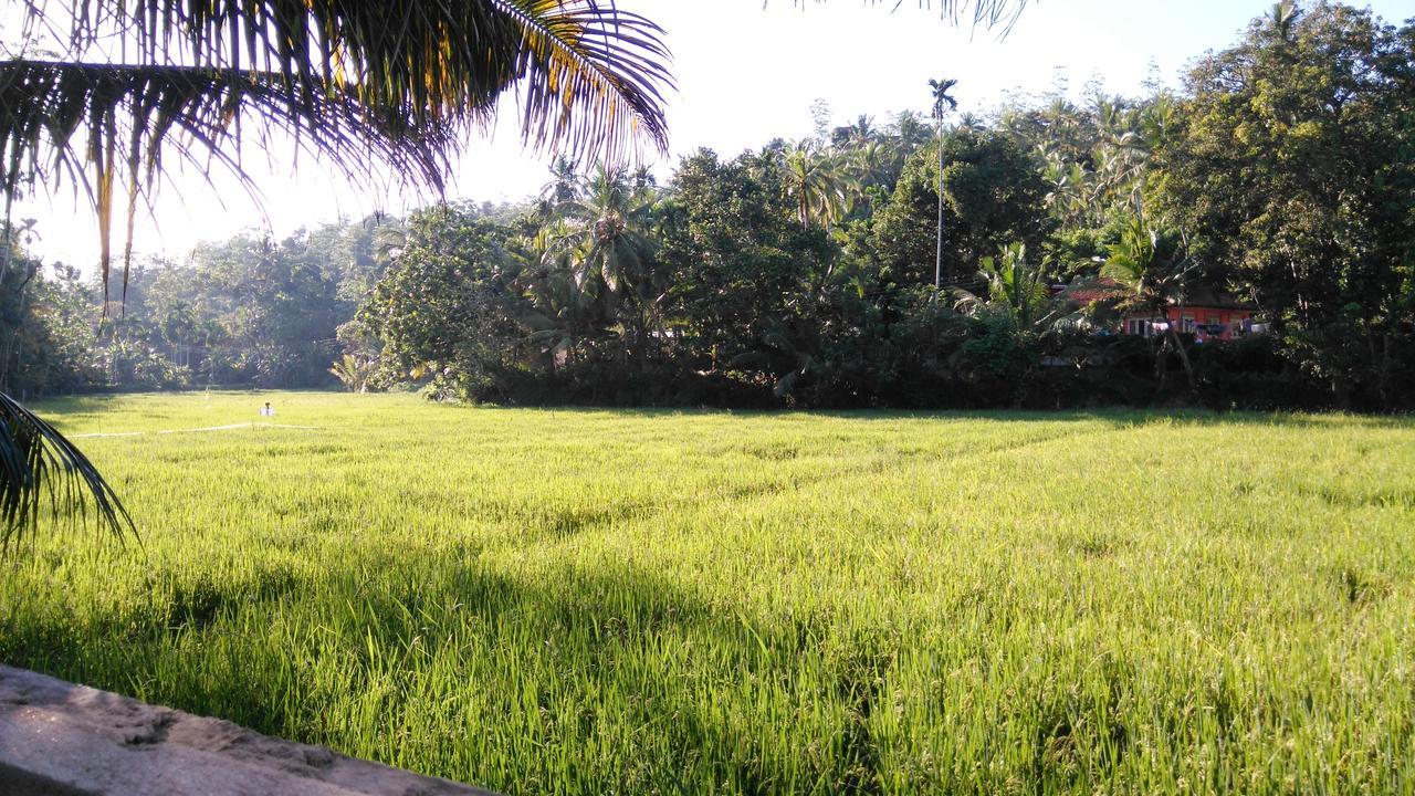 Villa Paddy Fields View Mirissa Bagian luar foto