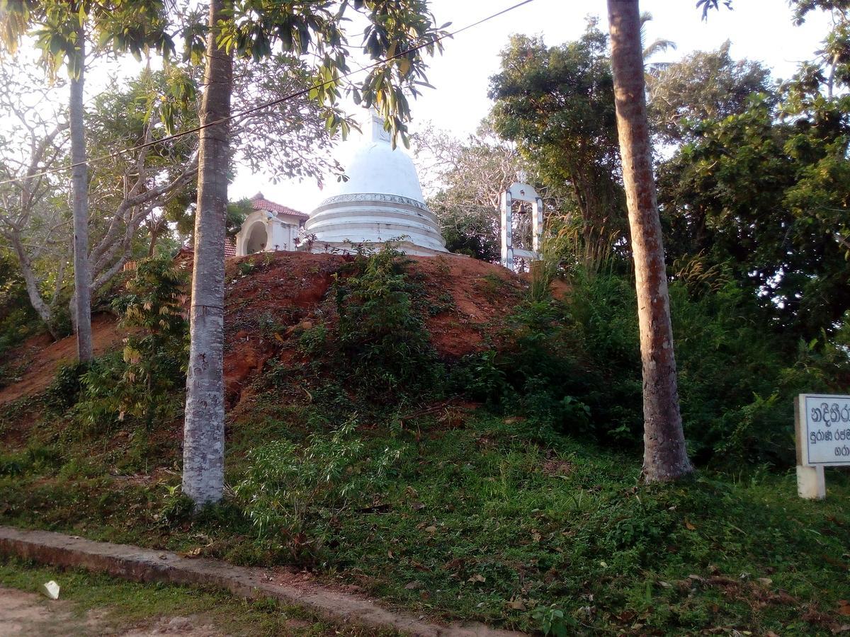 Villa Paddy Fields View Mirissa Bagian luar foto