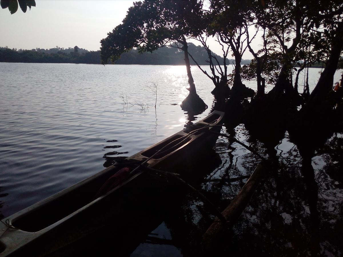 Villa Paddy Fields View Mirissa Bagian luar foto